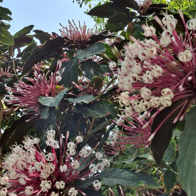 Photos Remplissage. Prévisions météo avec de superbes photos de Wen-ya Huang de Kaohsiung