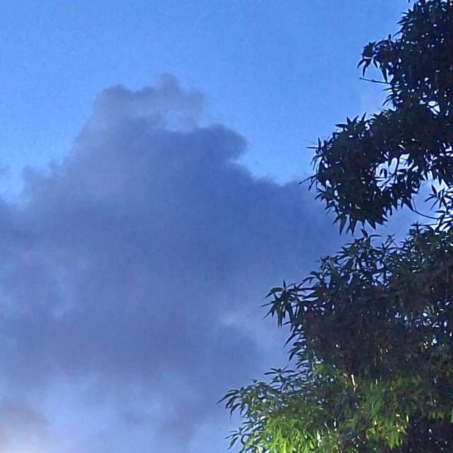 Photos Tour. Prévisions météo avec de superbes photos de Wen-ya Huang de Kaohsiung