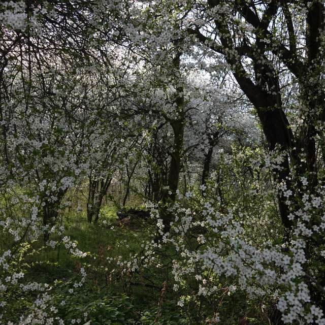 Fotos Abordado. Previsões do tempo com lindas fotos de Vasek325 em Praha 4