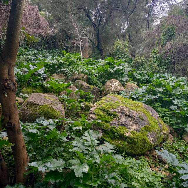Prévisions météo avec de superbes photos de Joaquim Fonseca