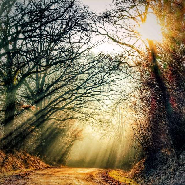 Prévisions météo avec de superbes photos de Lotti5507