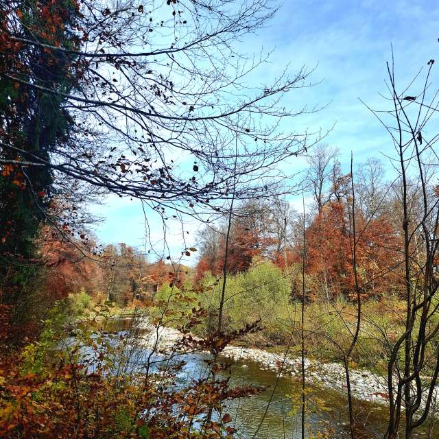 Birgit_Gの美しい写真による天気予報