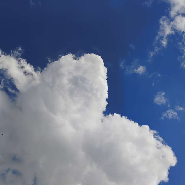 Weather forecasts with beautiful photos by neconobre