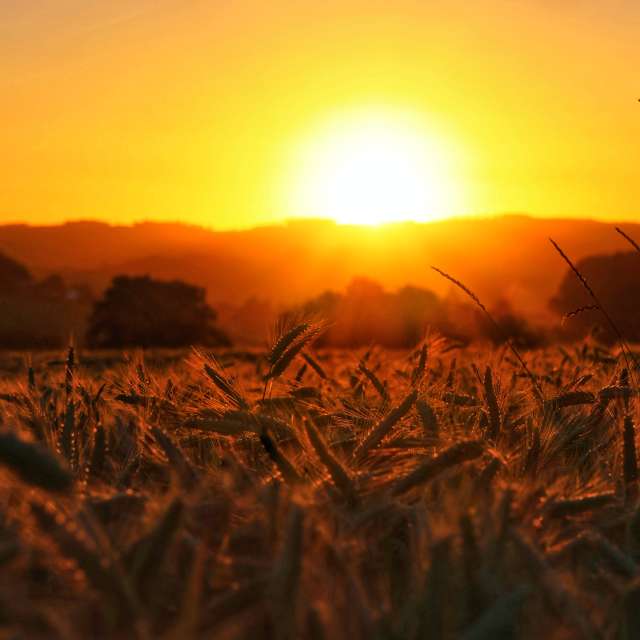 Weather Photos in World. Weather forecasts with beautiful photos by Lotti5507