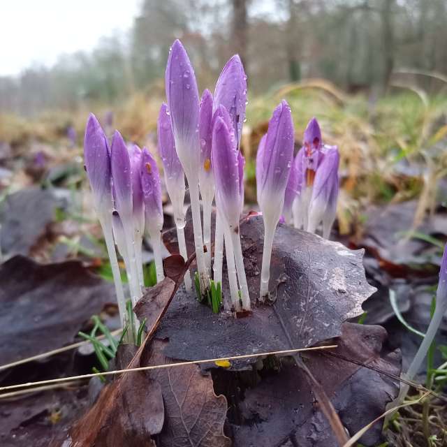 Прогнозы погоды с чудесными фотографиями, сделанными Fredy_Hiker