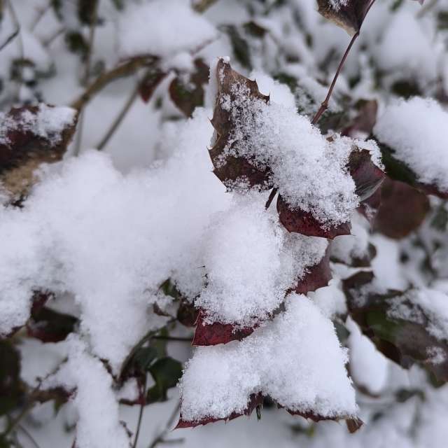 Dự báo thời tiết với những bức ảnh đẹp của Claudsch