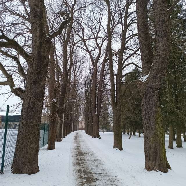 Park. Wettervorhersagen mit schönen Fotos von Kripo Fotos Ladek Zdroj