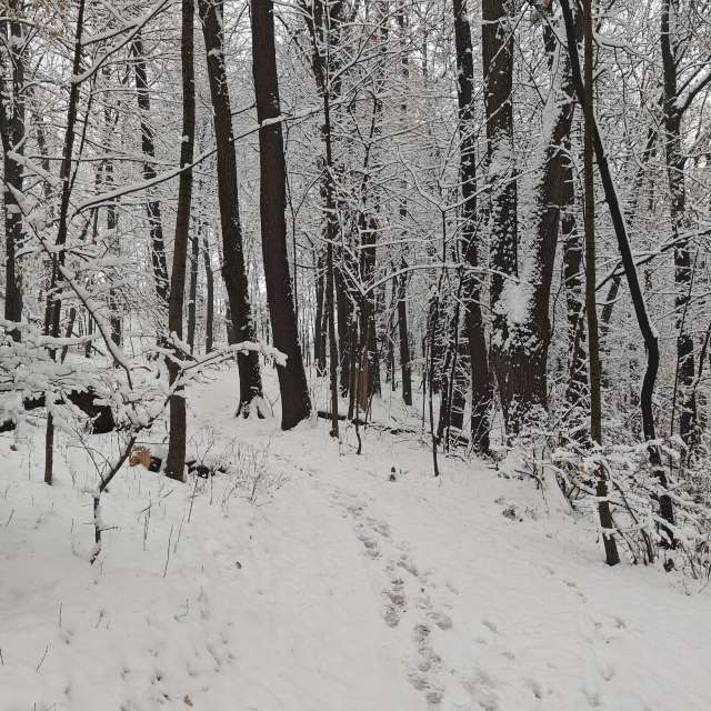 Weather forecasts with beautiful photos by zjabri