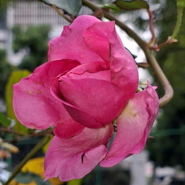 Photos Remplissage. Prévisions météo avec de superbes photos de Wen-ya Huang de Kaohsiung