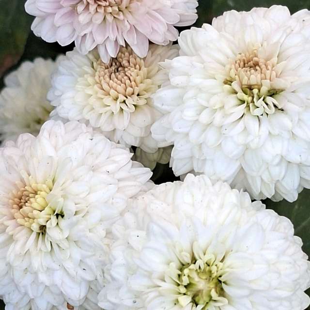 Full. Weather forecasts with beautiful photos by Wen-ya Huang Photos in Kaohsiung City