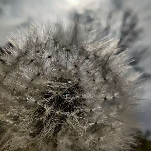 Fotos Clima. Previsões do tempo com lindas fotos de Zorrra em Kladow