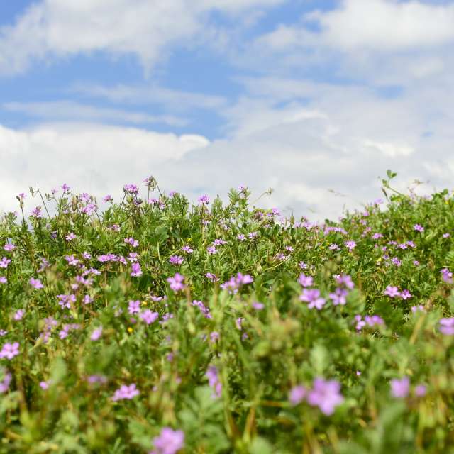 Prévisions météo avec de superbes photos de Estefania Gonzalez Espitia