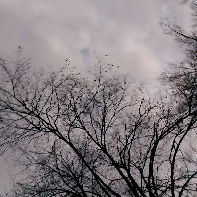 Evening. Weather forecasts with beautiful photos by Iryna Photos in Kharkiv