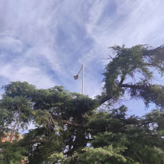 Green. Weather forecasts with beautiful photos by Ylla Ylla Ylla Photos in Madrid