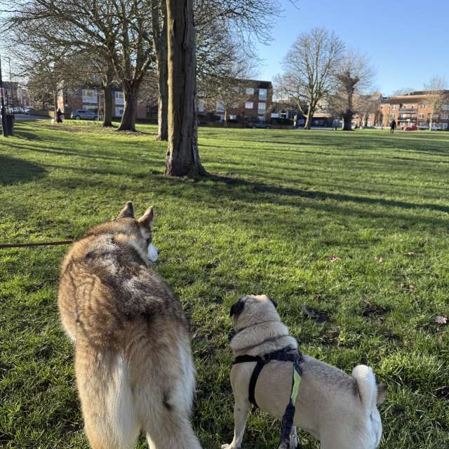 Фотографии Погоды в Рынок. Прогнозы погоды с чудесными фотографиями, сделанными cocotak