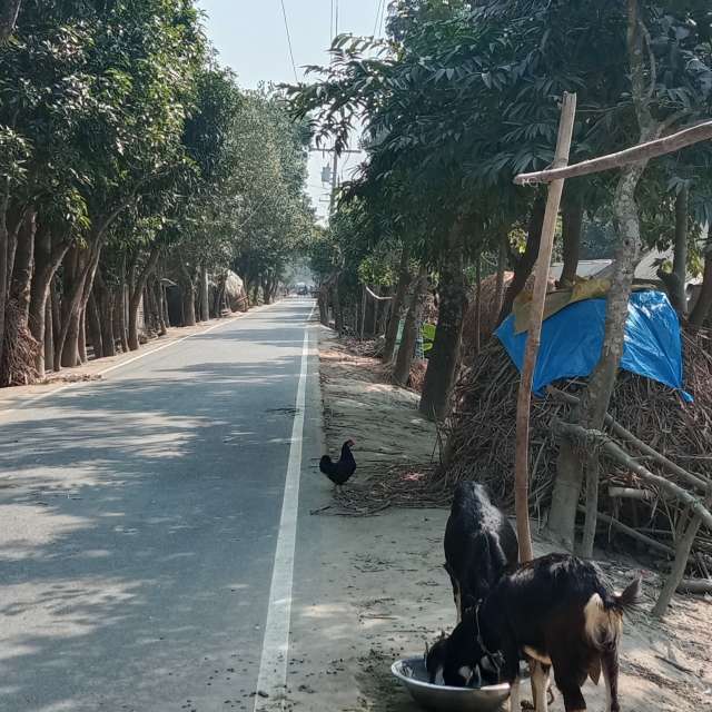 天气预报，带MD Shawkat Ali Khan精美的照片