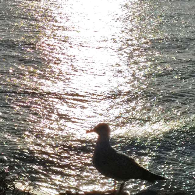 Прогнозы погоды с чудесными фотографиями, сделанными Brtd