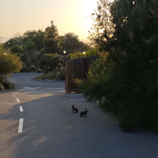 Прогнозы погоды с чудесными фотографиями, сделанными LeoLu