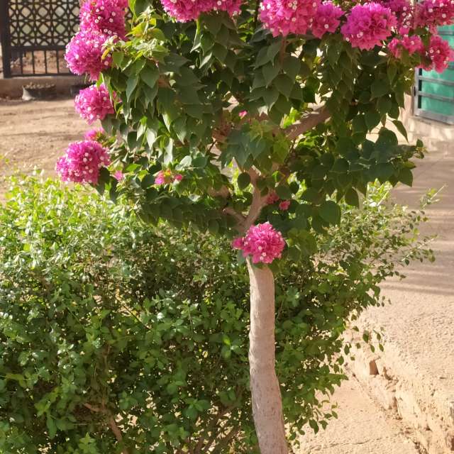 Прогнозы погоды с чудесными фотографиями, сделанными Mashaer