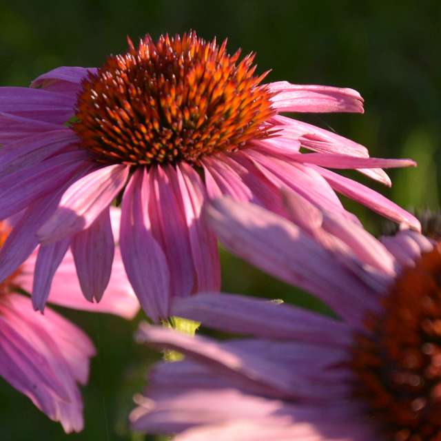 Fotos do tempo em Mundo. Previsões do tempo com lindas fotos de kriotis