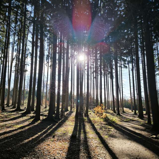 Прогнозы погоды с чудесными фотографиями, сделанными Adraj