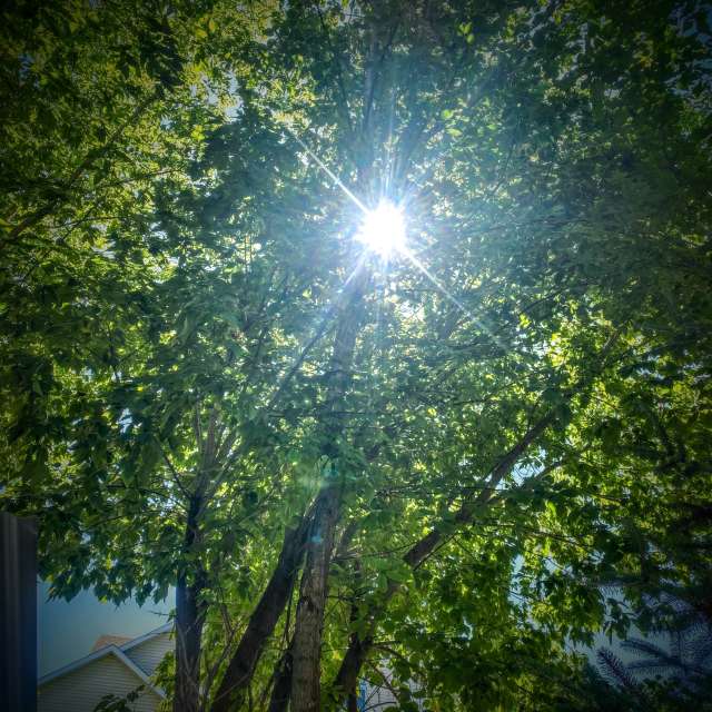 Young. Weather forecasts with beautiful photos by Lulu5523 Photos in le Plateau