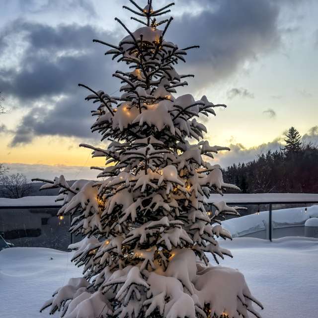 Прогнозы погоды с чудесными фотографиями, сделанными LMukasz