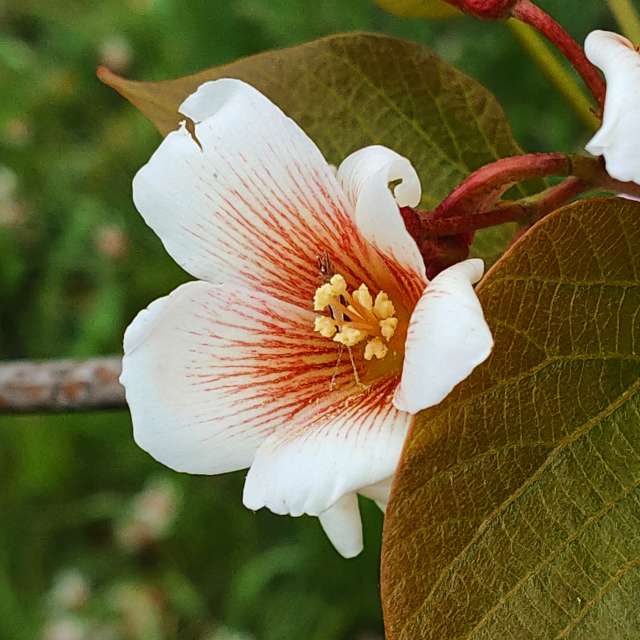 Wettervorhersagen mit schönen Fotos von Belkka303