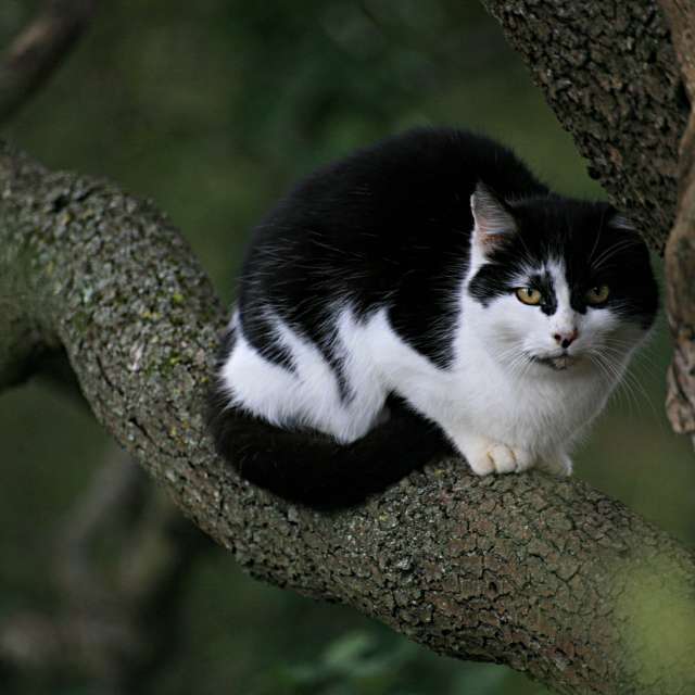 Brown. Weather forecasts with beautiful photos by tony5636 Photos in Calvisson