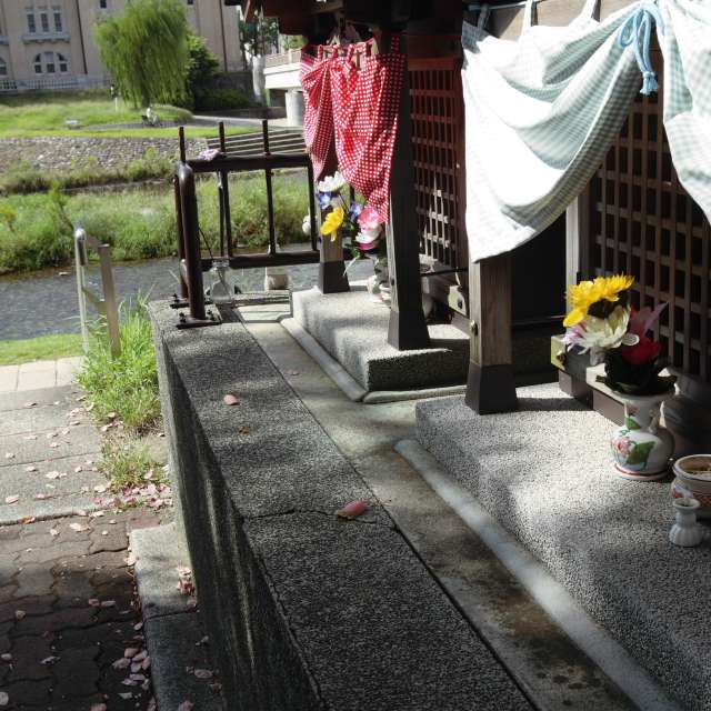 Weather forecasts with beautiful photos by Polamalu