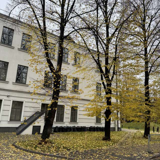 Bench. Weather forecasts with beautiful photos by Svet-Lana Photos in Rīga