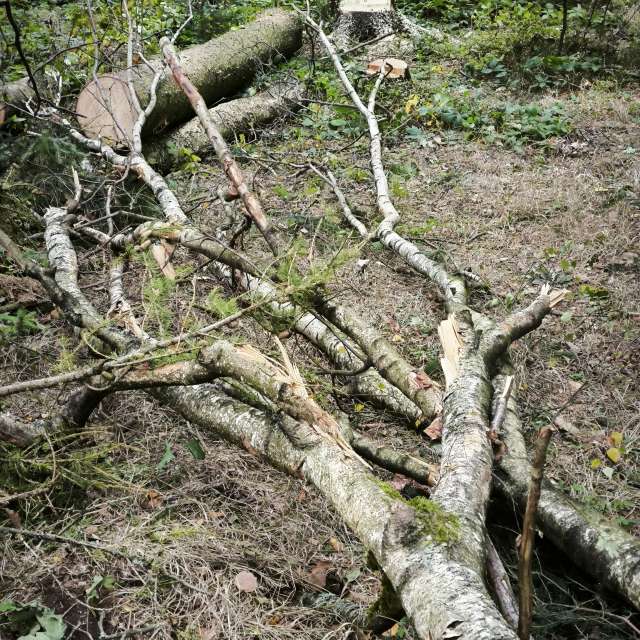 Прогнозы погоды с чудесными фотографиями, сделанными Adraj