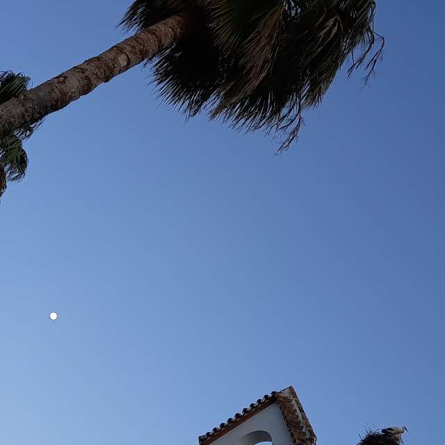 Pronósticos del tiempo con hermosas fotos de MOR