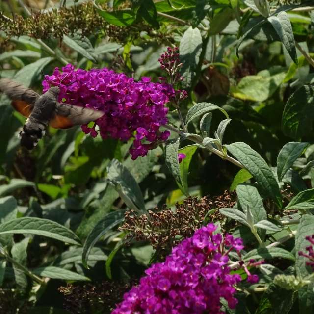 Fotos Clima. Previsões do tempo com lindas fotos de Vasek325 em Praha 12