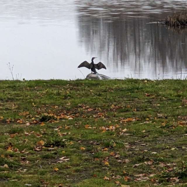Previsões do tempo com lindas fotos de Mangustium