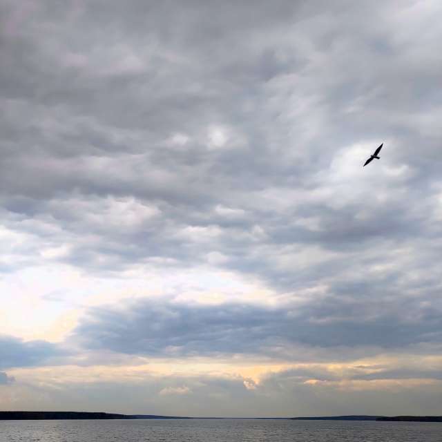俄罗斯的天气照片. 天气预报，带Lara357精美的照片