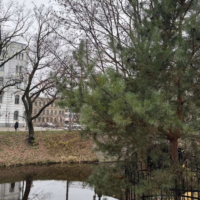 Weather forecasts with beautiful photos by Svet-Lana