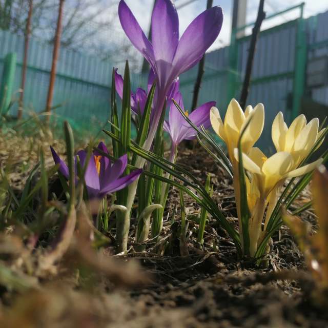 天气预报，带vilinsckayaolga精美的照片