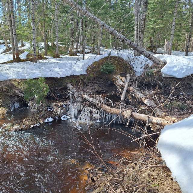 Weather forecasts with beautiful photos by NorthernMichiganBeauty