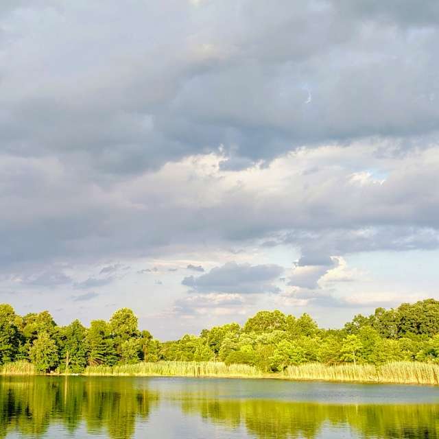 Prévisions météo avec de superbes photos de SWolfe57