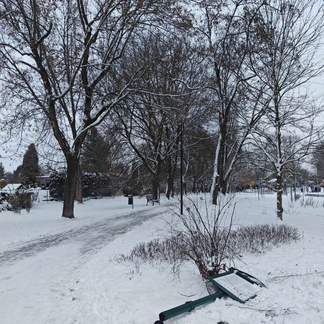 Fotos del Colina. Pronósticos del tiempo con hermosas fotos de zjabri en Cracovia