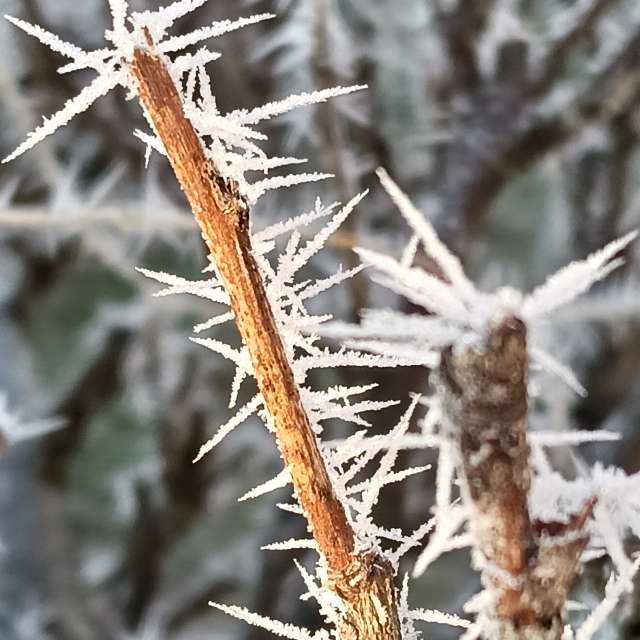 Prévisions météo avec de superbes photos de Am-b