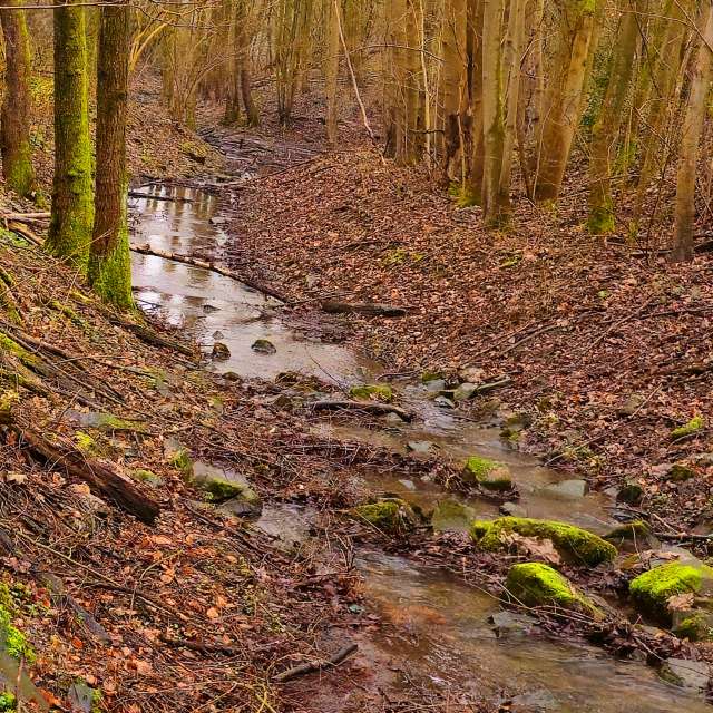Fotos Trilha. Previsões do tempo com lindas fotos de Seni em Velbert