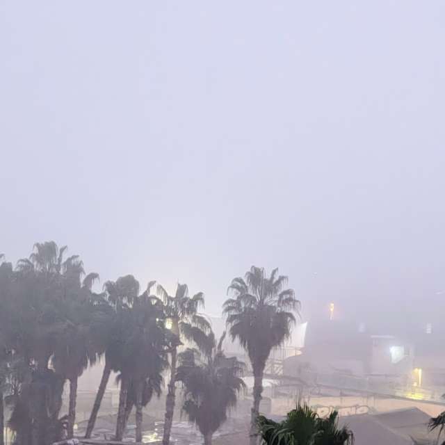 天气预报，带MSLidon精美的照片