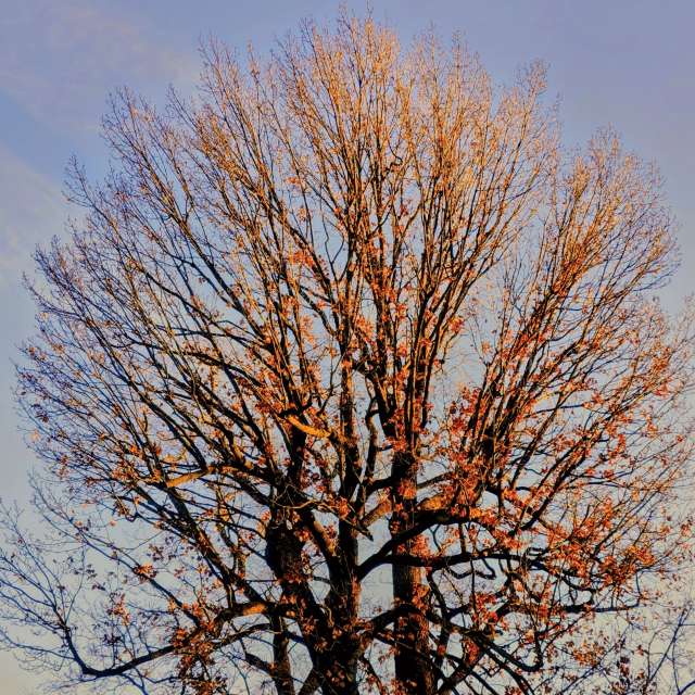 天气预报，带Gaucho精美的照片