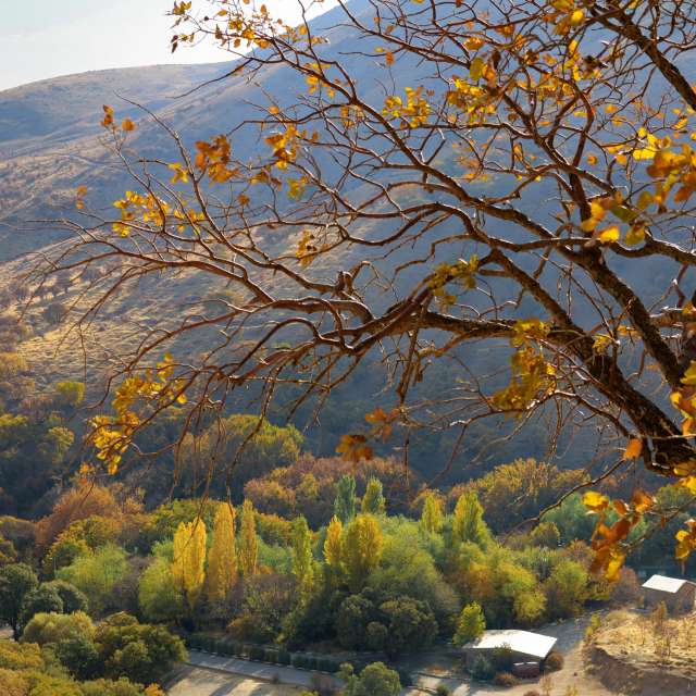 Pronósticos del tiempo con hermosas fotos de zabih_hasanvand