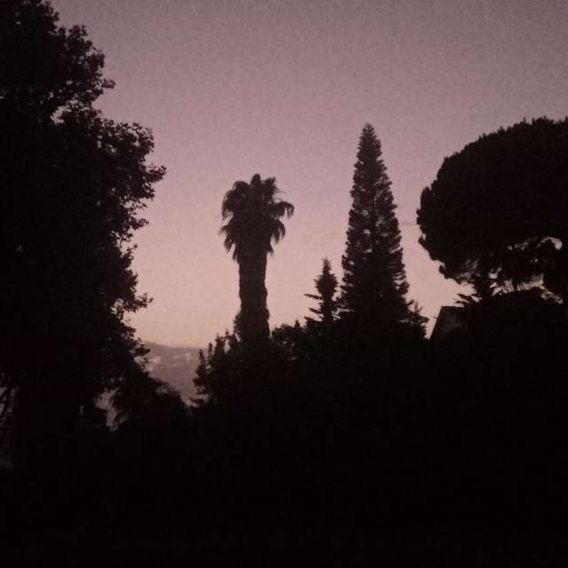 Prévisions météo avec de superbes photos de Joaquim Fonseca