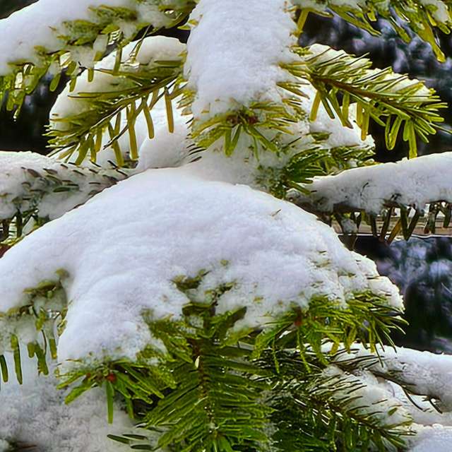 Fotos Cercado. Previsões do tempo com lindas fotos de Seni em Velbert