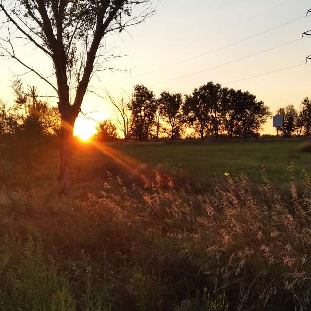 Field. Weather forecasts with beautiful photos by Rafael Photos in Zaporozhye