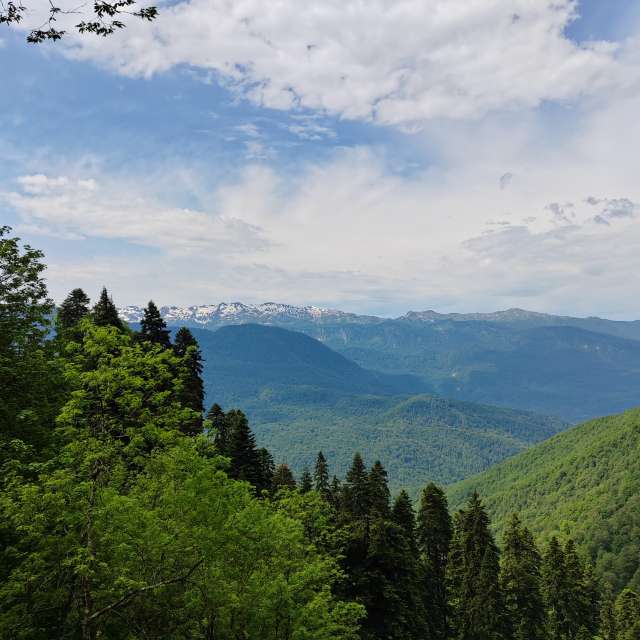 Grassy. Weather forecasts with beautiful photos by Albert_Smelovtsev Photos in Roza Khutor